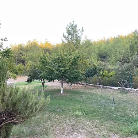 Séjour à la ferme Escape The Noise, Hear Only Natures Voice *